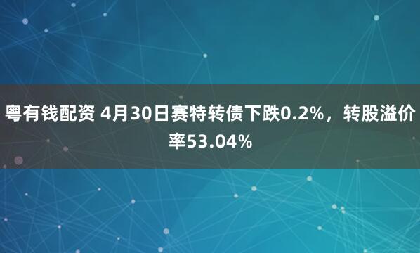 粤有钱配资 4月30日赛特转债下跌0.2%，转股溢价率53.04%