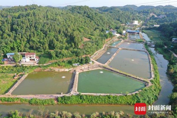 牛股远期策略 网友称资阳雁溪湖蓄水致上游渔场受损 官方回应：正协商解决