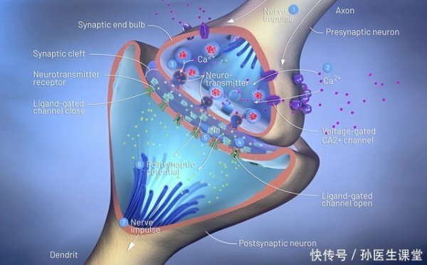 众合网 骨质疏松补钙就行了？并非如此，这几大误区很多人还不知道！