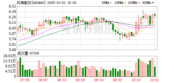 盛鹏智投 风神股份董事杨汉剑辞职 崔靖获提名新任董事候选人