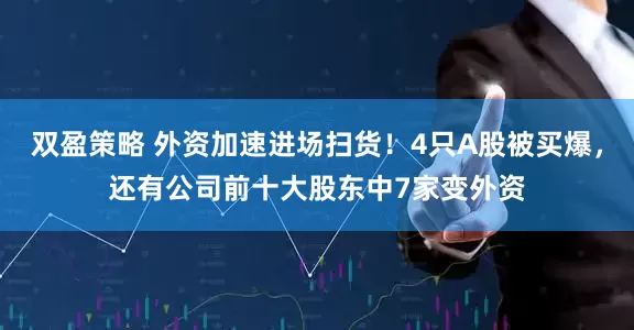 双盈策略 外资加速进场扫货！4只A股被买爆，还有公司前十大股东中7家变外资
