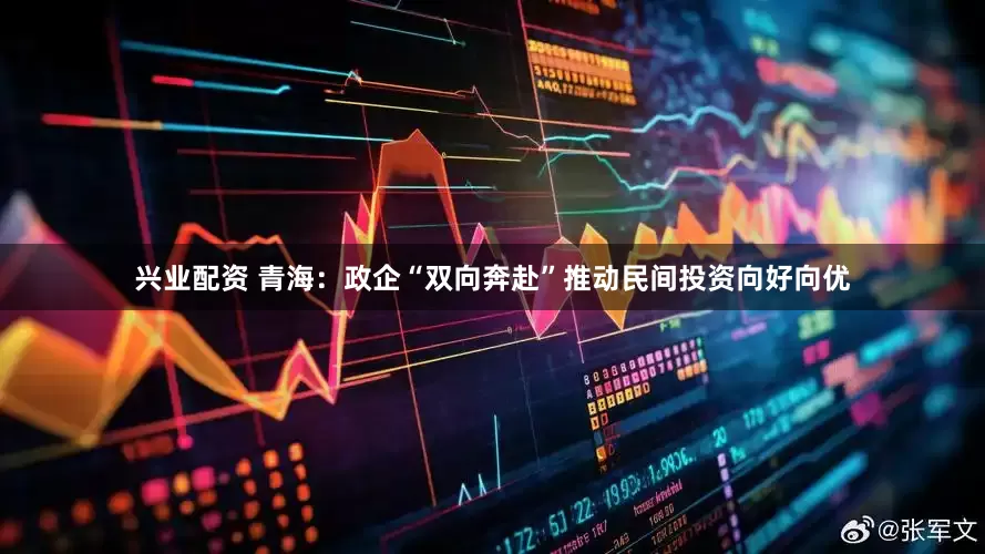 兴业配资 青海：政企“双向奔赴”推动民间投资向好向优